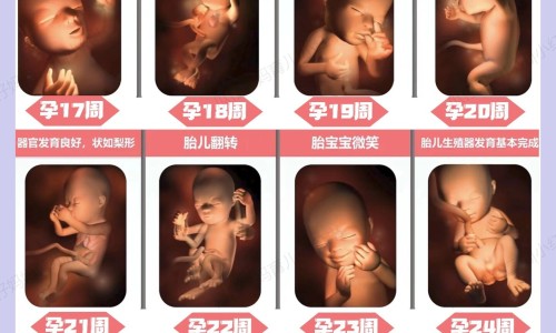 权威牙不好的老人吃什么食物容易咀嚼平台,分享专业牙不好的老人吃什么零食对身体好知识_牙不好的老人吃网